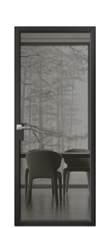 Дверь межкомнатная Frame 01 Цвет Черный Покрытие Алюминий  Наличник Скрытый короб Цена 69430