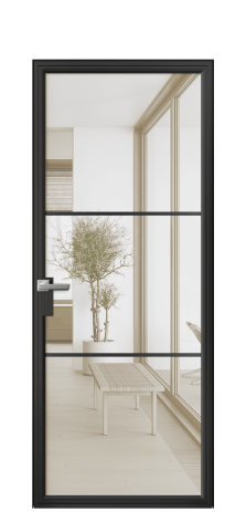 Дверь межкомнатная Frame 03 Цвет Черный Покрытие Алюминий  Наличник Скрытый короб Цена 61300