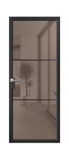 Дверь межкомнатная Frame 03 Цвет Черный Покрытие Алюминий  Наличник Скрытый короб Цена 69860